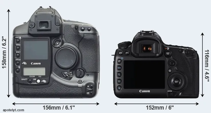 Comparison 1D or 5DS rear