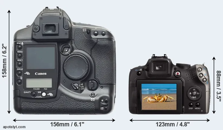 Comparison 1D or SX20 rear