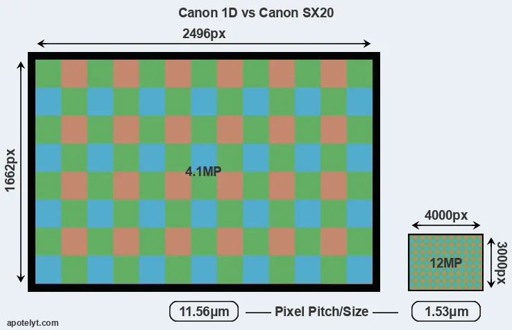 1D versus SX20 MP