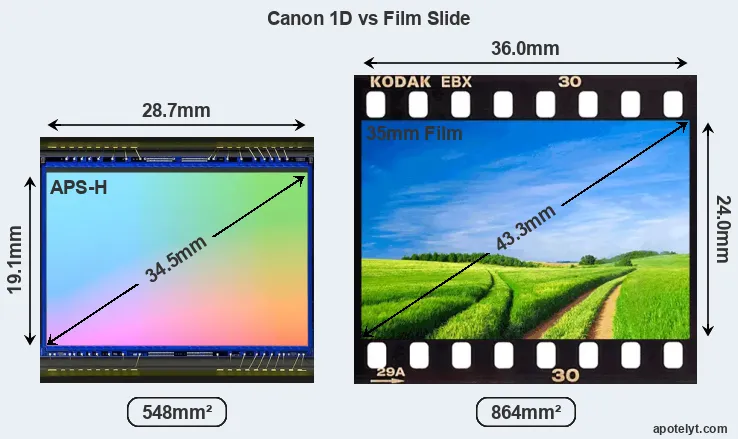Canon 1D sensor measures