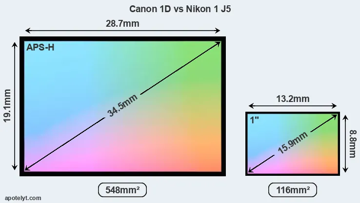 Canon 1D and Nikon 1 J5 sensor measures