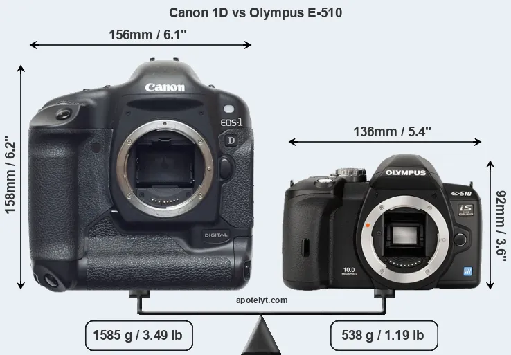 Size Canon 1D vs Olympus E-510