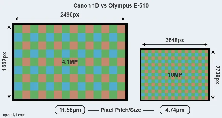 1D versus E-510 MP