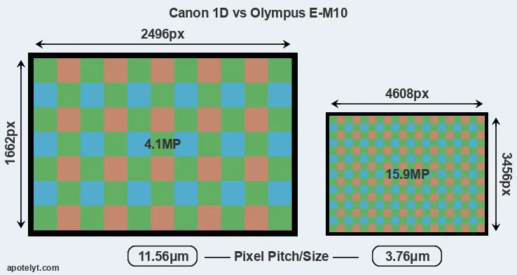 1D versus E-M10 MP