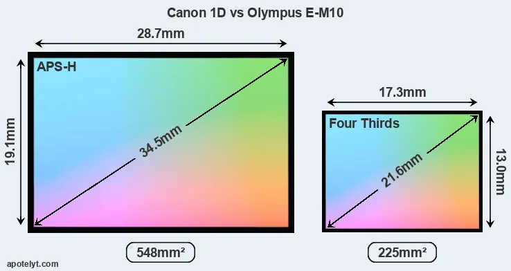 Canon 1D and Olympus E-M10 sensor measures
