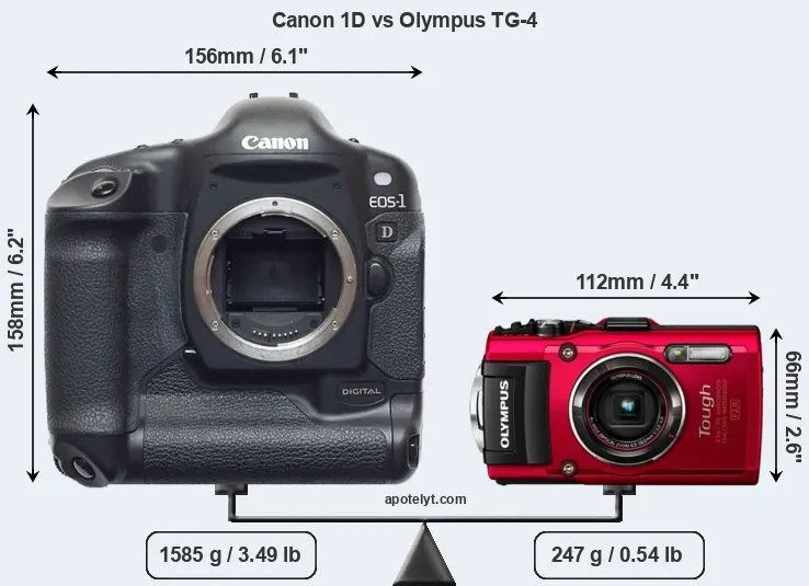 Size Canon 1D vs Olympus TG-4