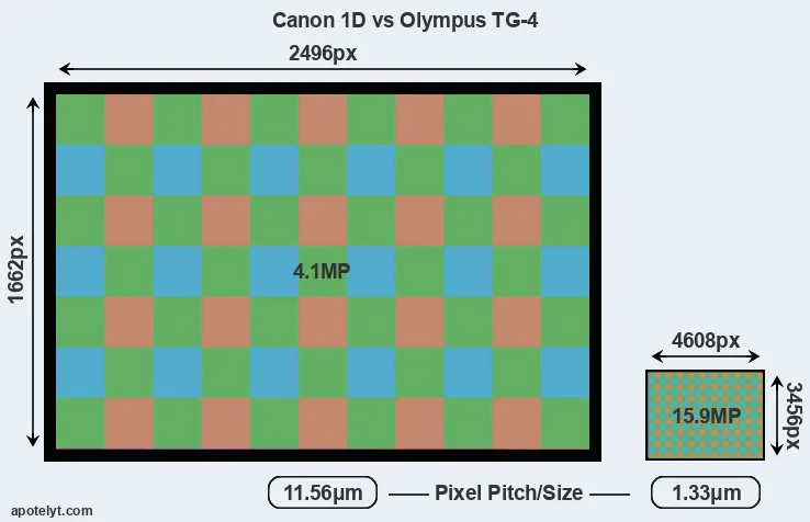 1D versus TG-4 MP