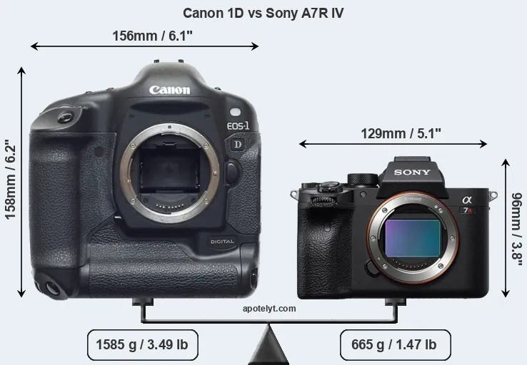Size Canon 1D vs Sony A7R IV
