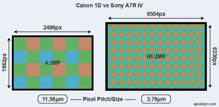 1D versus A7R IV MP