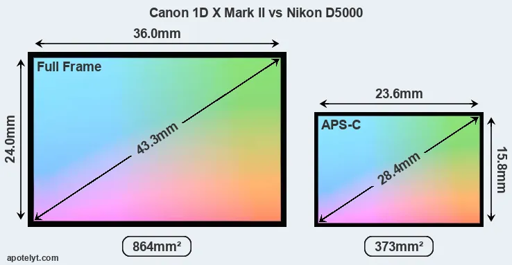 Canon 1D X Mark II and Nikon D5000 sensor measures