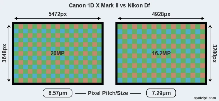 1DX Mark II versus Df MP