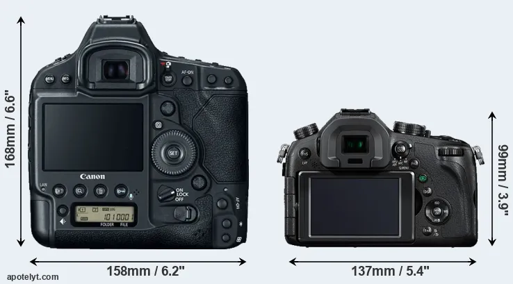 Comparison 1DX Mark II or FZ1000 rear