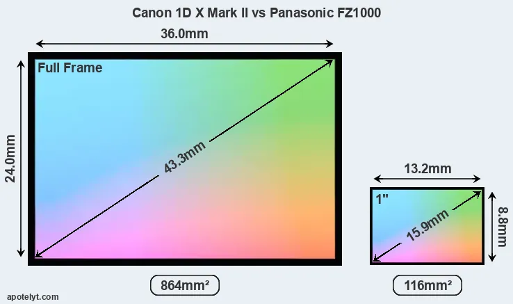 Canon 1D X Mark II and Panasonic FZ1000 sensor measures