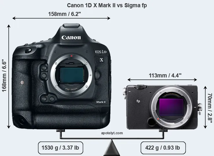 Size Canon 1D X Mark II vs Sigma fp