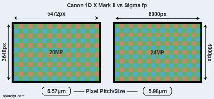 1DX Mark II versus fp MP