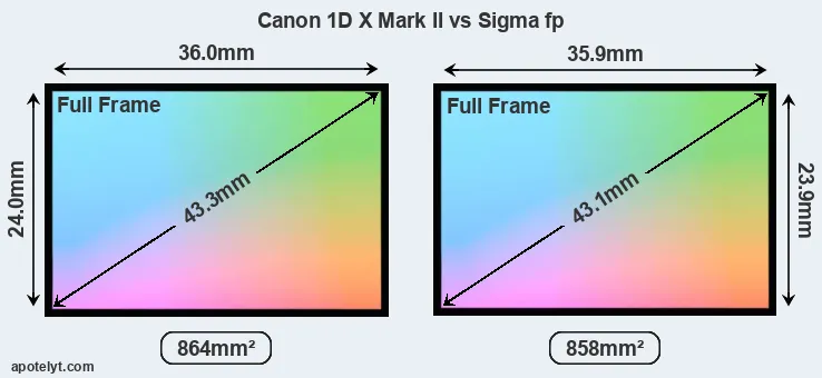 Canon 1D X Mark II and Sigma fp sensor measures