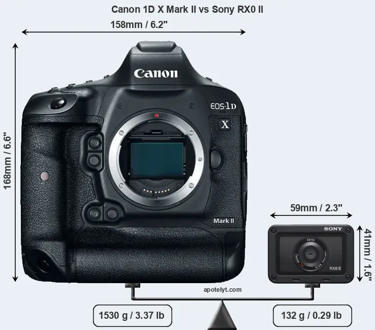 Size Canon 1D X Mark II vs Sony RX0 II