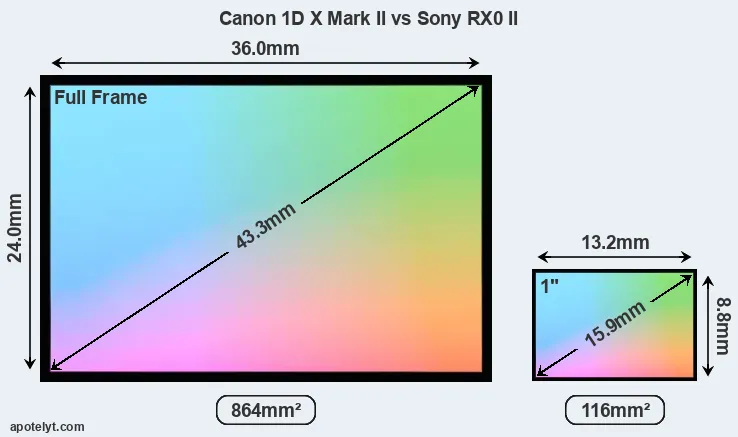 Canon 1D X Mark II and Sony RX0 II sensor measures