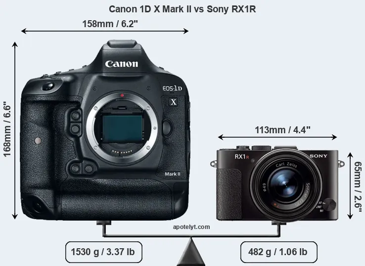 Size Canon 1D X Mark II vs Sony RX1R