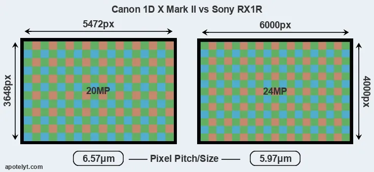 1DX Mark II versus RX1R MP