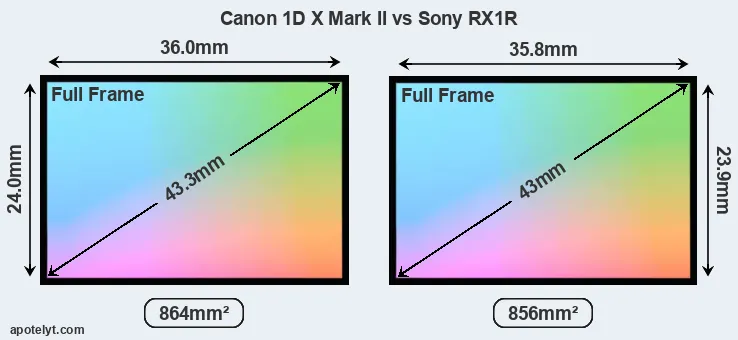 Canon 1D X Mark II and Sony RX1R sensor measures