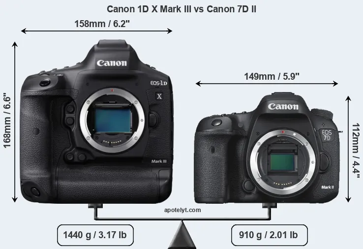 Size Canon 1D X Mark III vs Canon 7D II