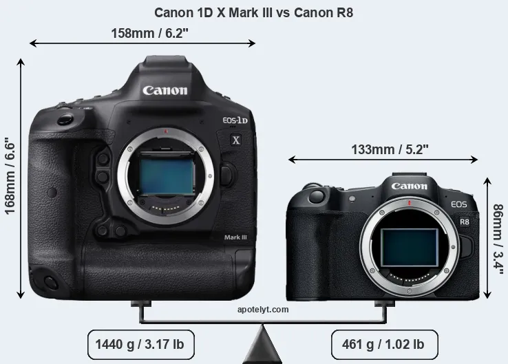 Size Canon 1D X Mark III vs Canon R8