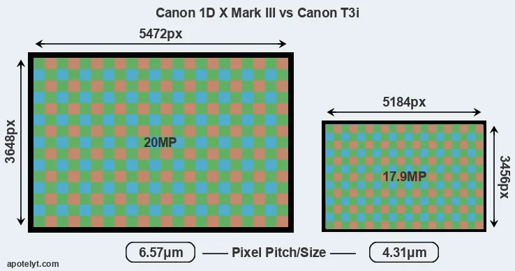 1DX Mark III versus T3i MP