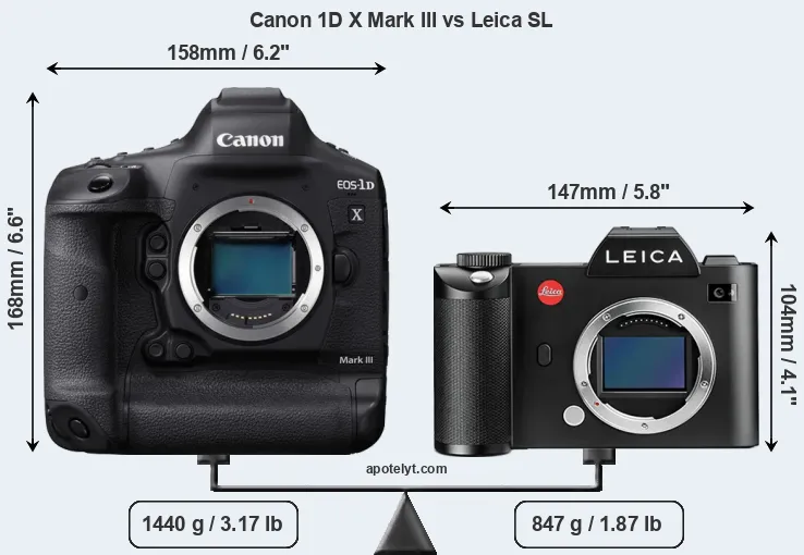 Size Canon 1D X Mark III vs Leica SL