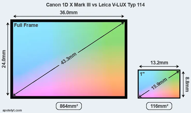 Canon 1D X Mark III and Leica V-LUX Typ 114 sensor measures