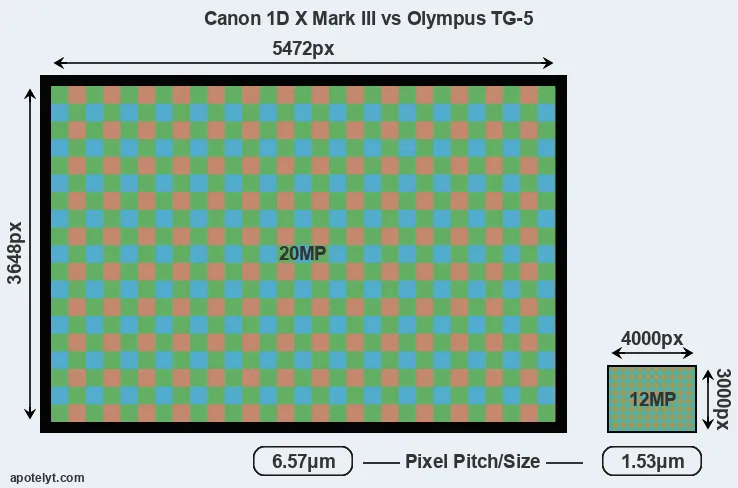1DX Mark III versus TG-5 MP