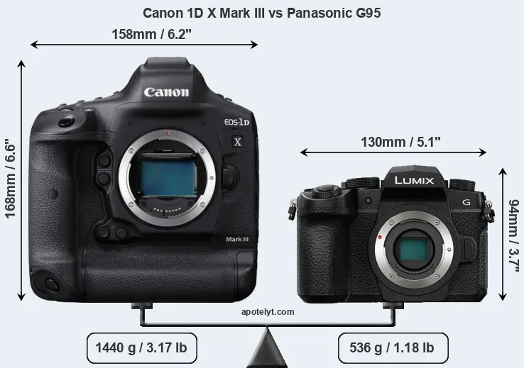 Size Canon 1D X Mark III vs Panasonic G95