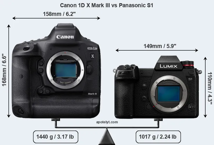 Size Canon 1D X Mark III vs Panasonic S1