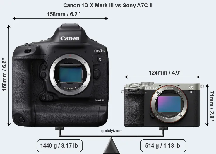 Size Canon 1D X Mark III vs Sony A7C II