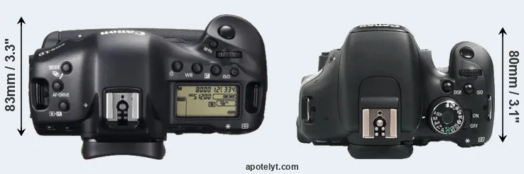Compare 1DX versus 600D top