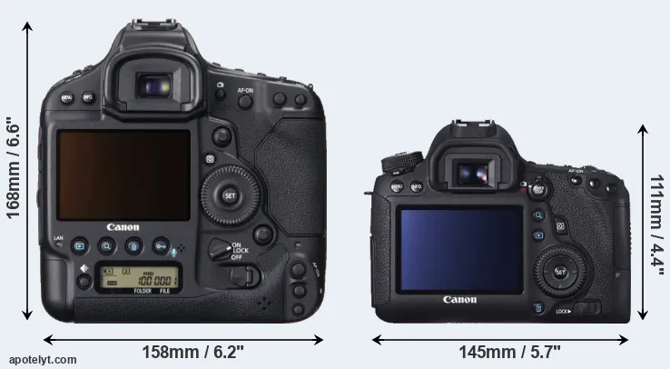 Comparison 1DX or 6D rear