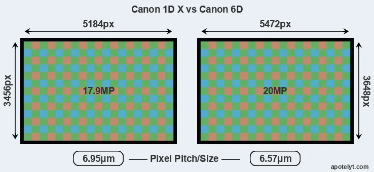 1DX versus 6D MP