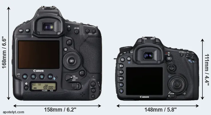 Comparison 1DX or 7D rear