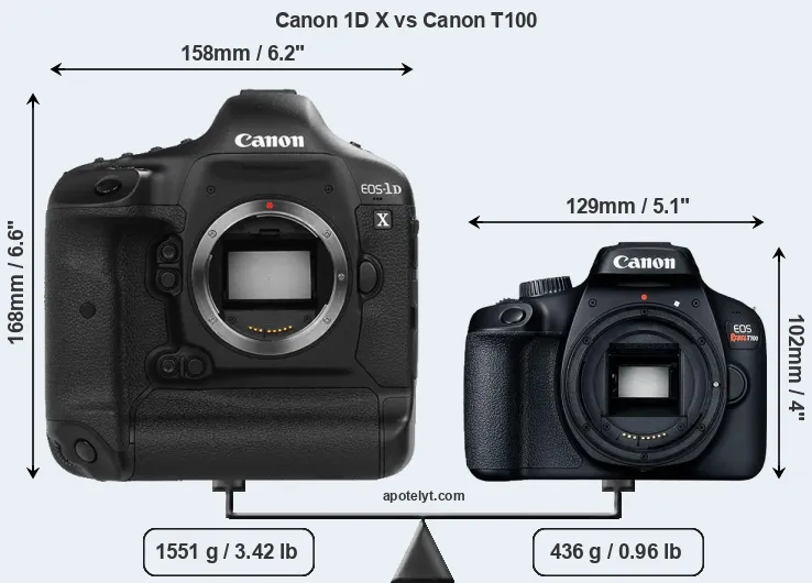 Size Canon 1D X vs Canon T100
