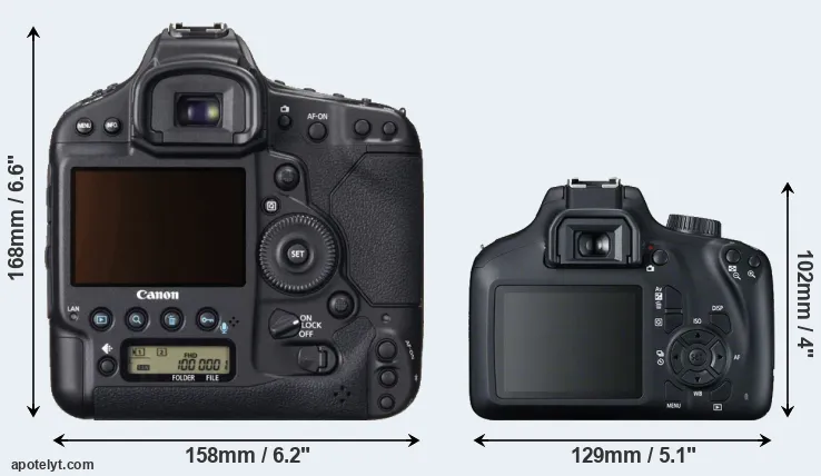Comparison 1DX or T100 rear