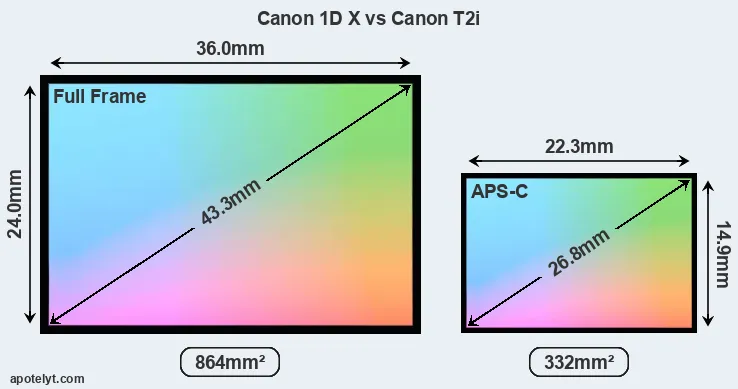 Canon 1D X and Canon T2i sensor measures