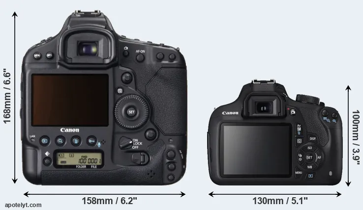 Comparison 1DX or T5 rear