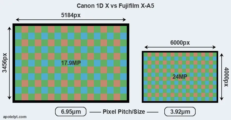 1DX versus X-A5 MP