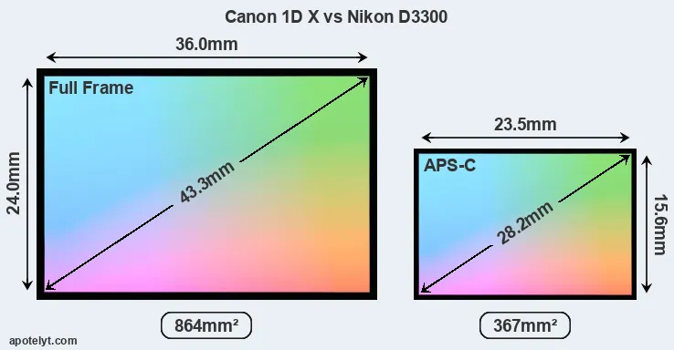 Canon 1D X and Nikon D3300 sensor measures