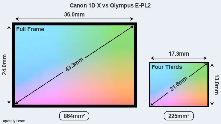 Canon 1D X and Olympus E-PL2 sensor measures