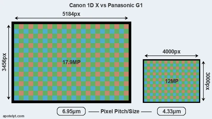 1DX versus G1 MP