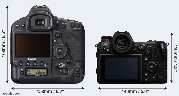 Comparison 1DX or S1 rear