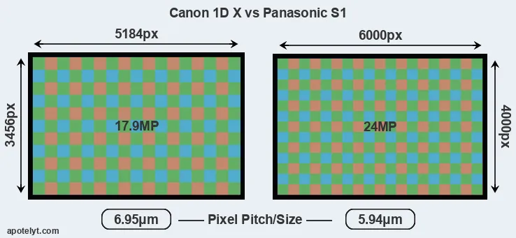1DX versus S1 MP