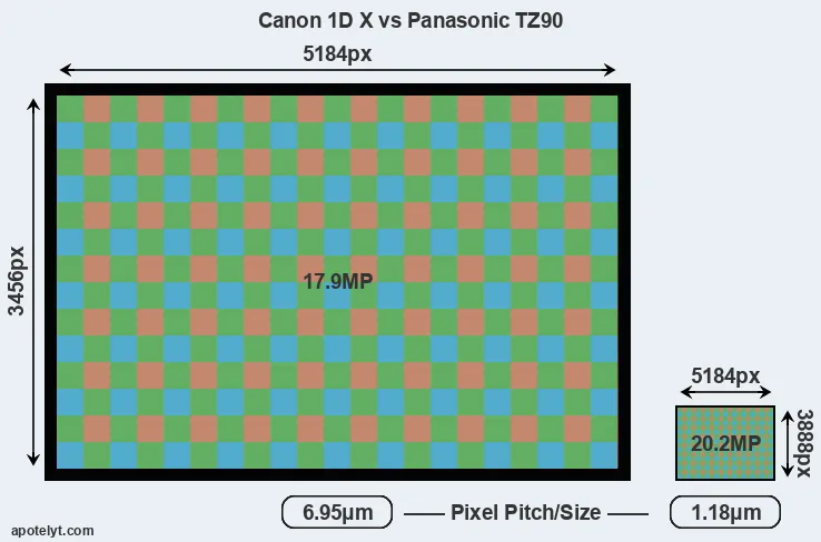 1DX versus TZ90 MP
