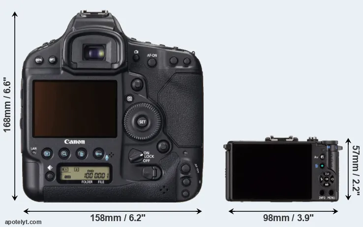 Comparison 1DX or Pentax Q rear